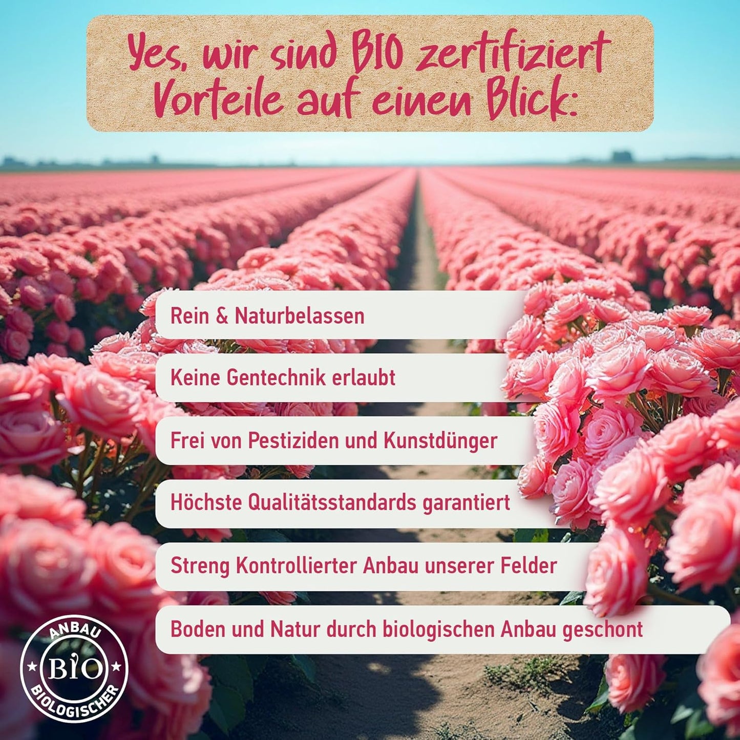 BIO ROSENWASSER