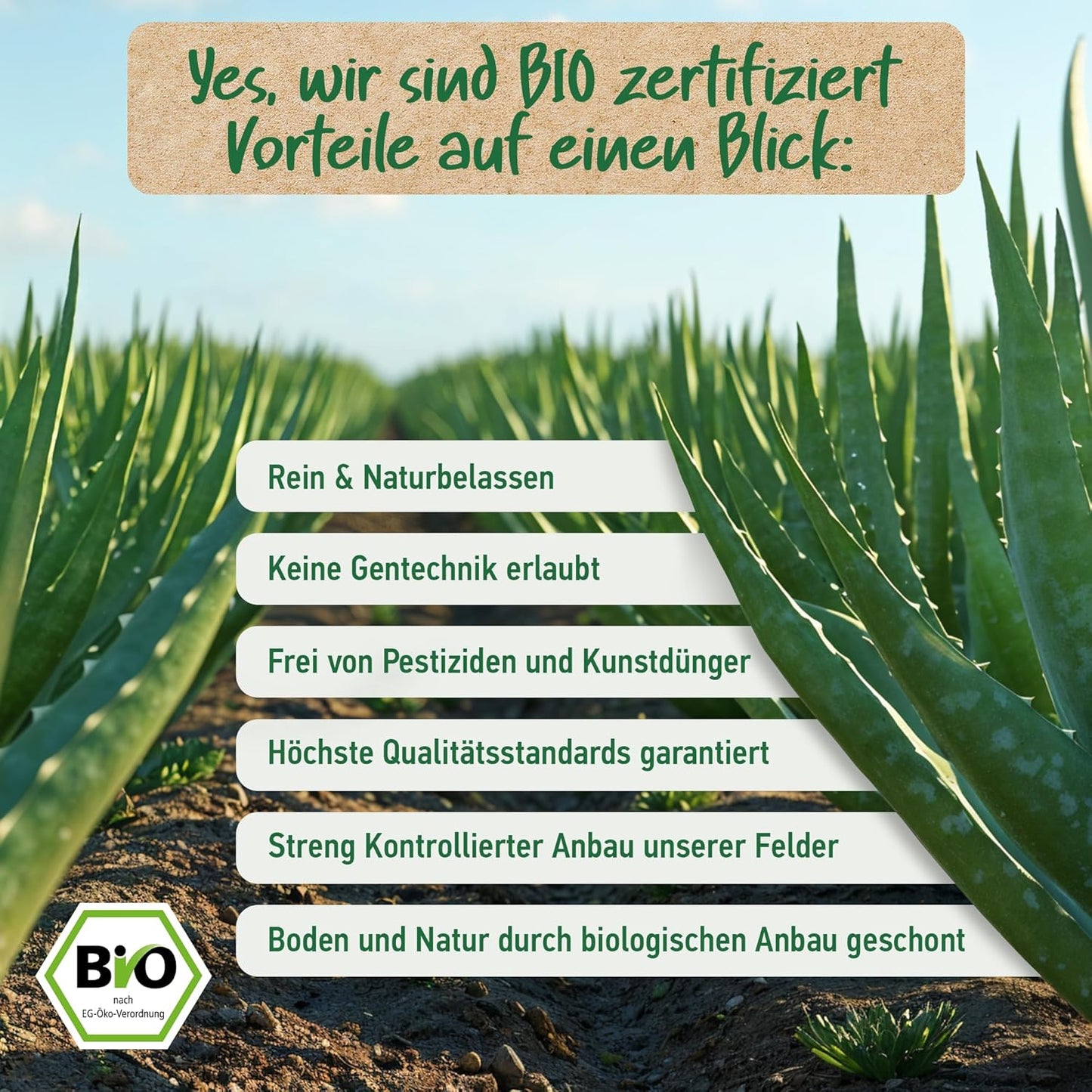 BIO ALOE VERA GEL