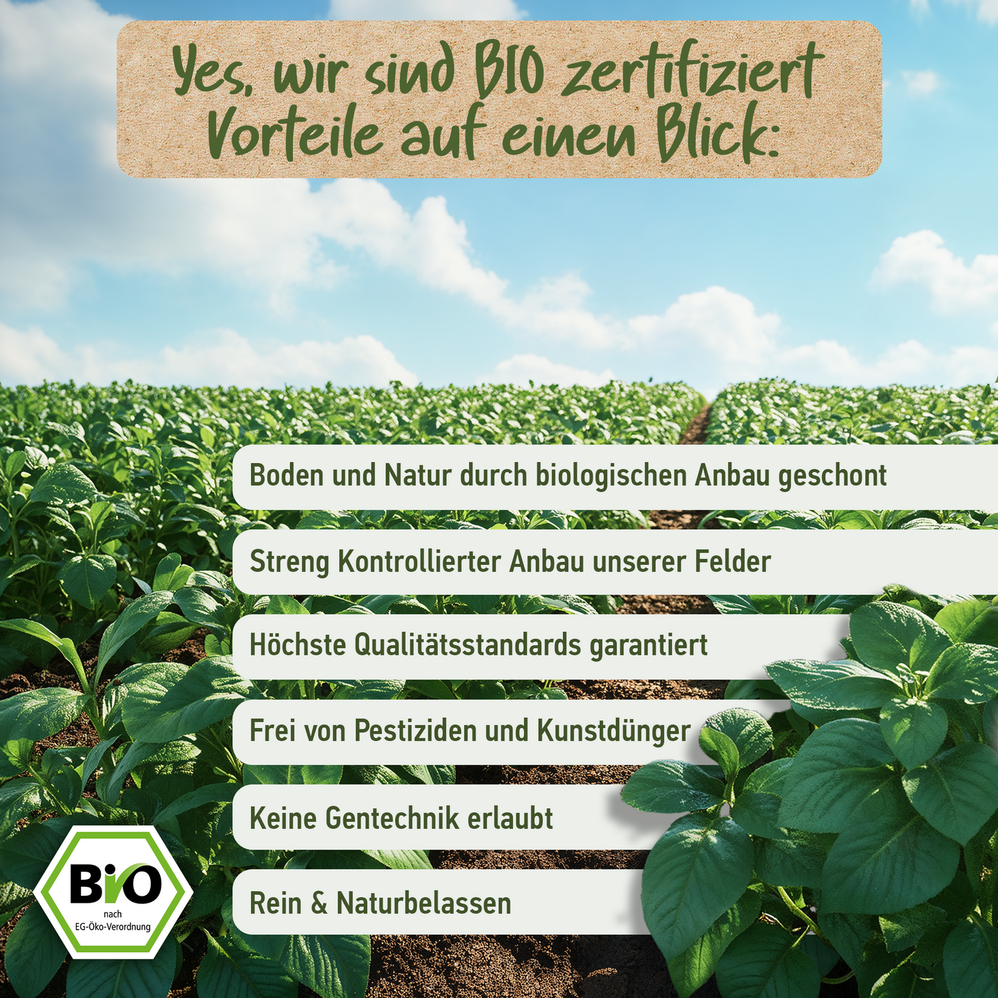 BIO OREGANOÖL