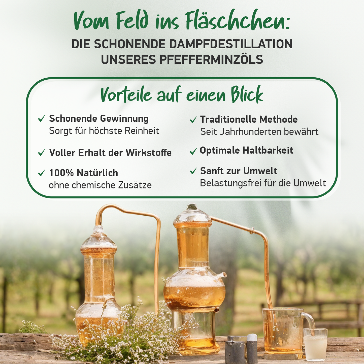 BIO PFEFFERMINZÖL