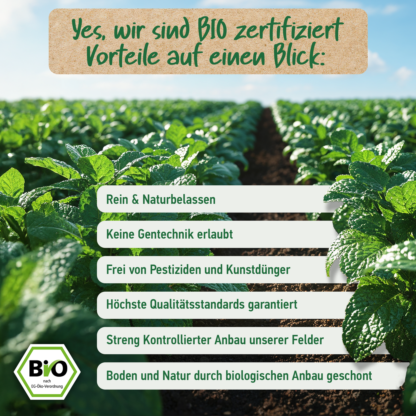 BIO PFEFFERMINZÖL