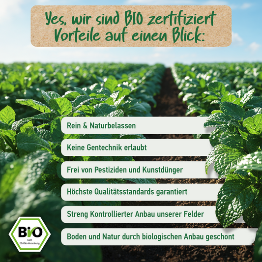 BIO PFEFFERMINZÖL