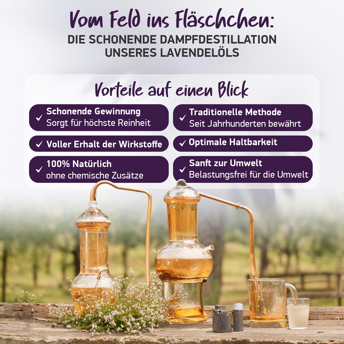 BIO LAVENDELÖL