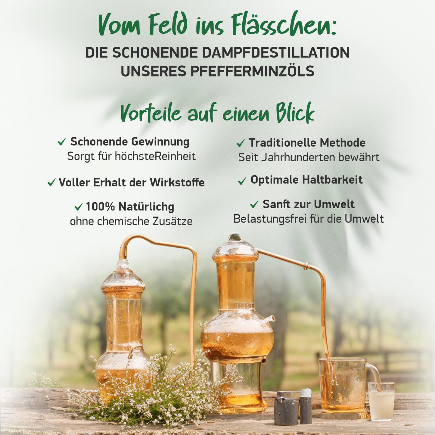BIO PFEFFERMINZÖL